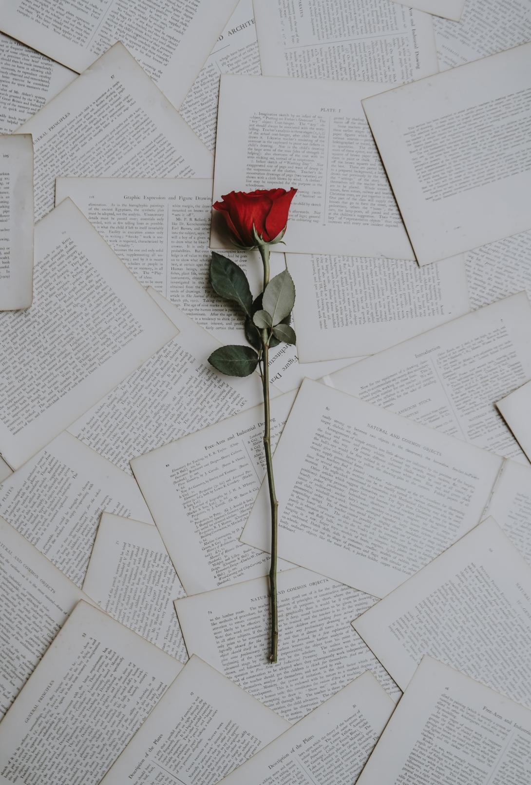 A rose sitting on top of a stack of love letters